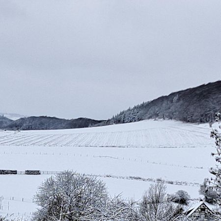 Sauerland-Tinyworld - Ihr Tiny Ferienhaus Im Sauerland Am Diemelsee ภายนอก รูปภาพ