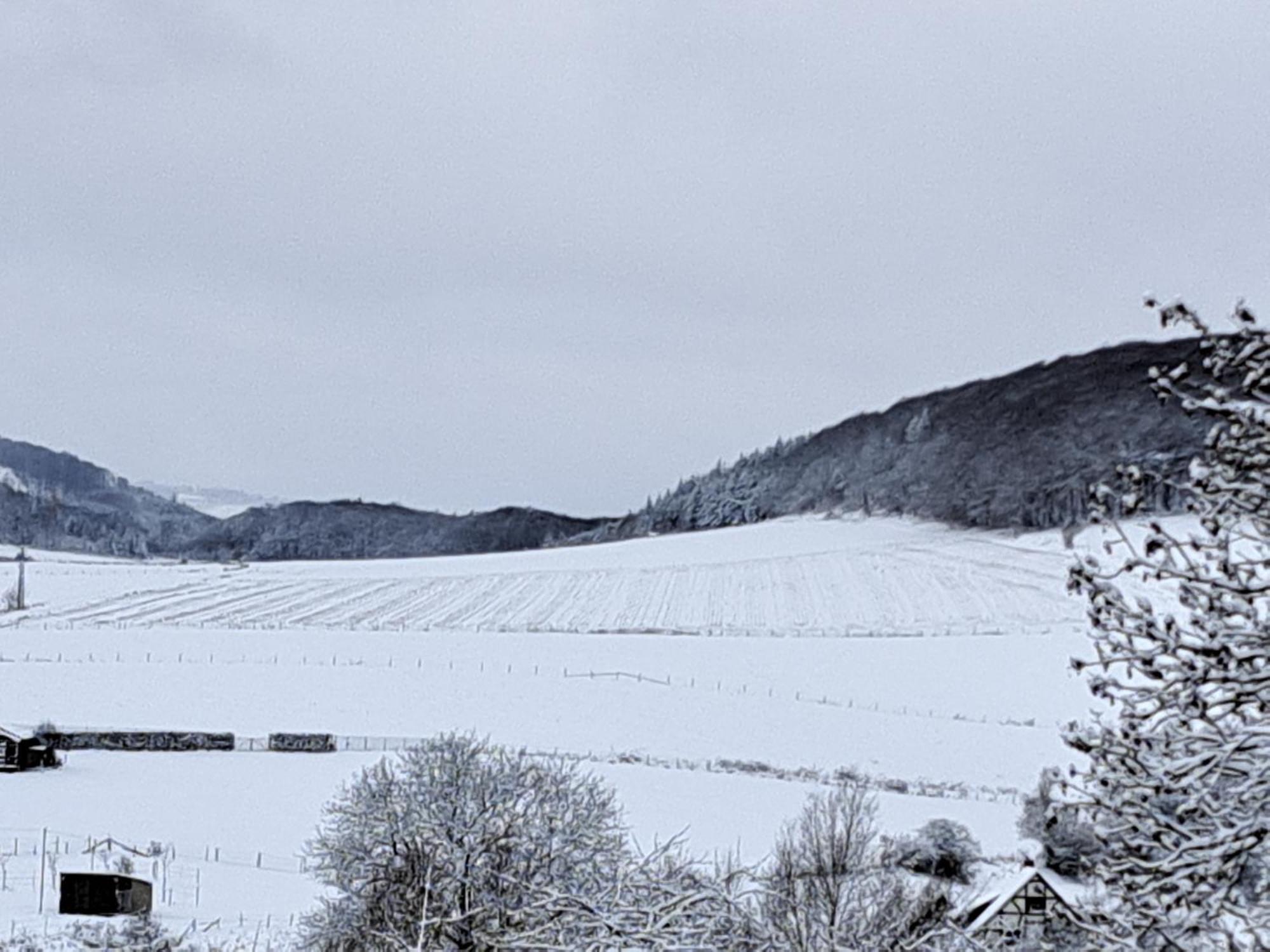 Sauerland-Tinyworld - Ihr Tiny Ferienhaus Im Sauerland Am Diemelsee ภายนอก รูปภาพ