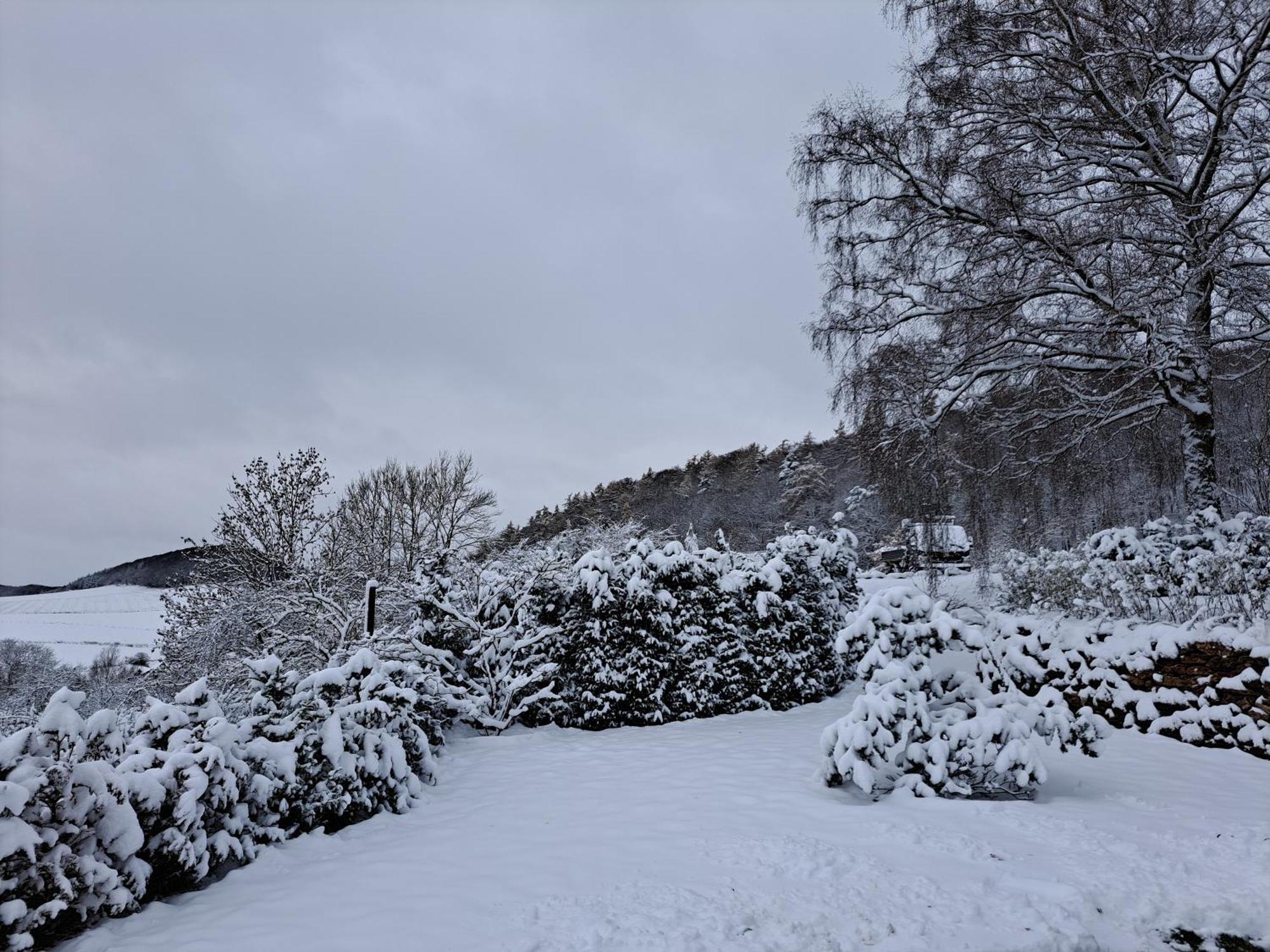 Sauerland-Tinyworld - Ihr Tiny Ferienhaus Im Sauerland Am Diemelsee ภายนอก รูปภาพ