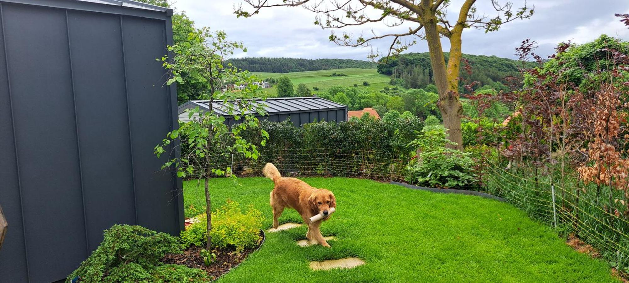 Sauerland-Tinyworld - Ihr Tiny Ferienhaus Im Sauerland Am Diemelsee ภายนอก รูปภาพ