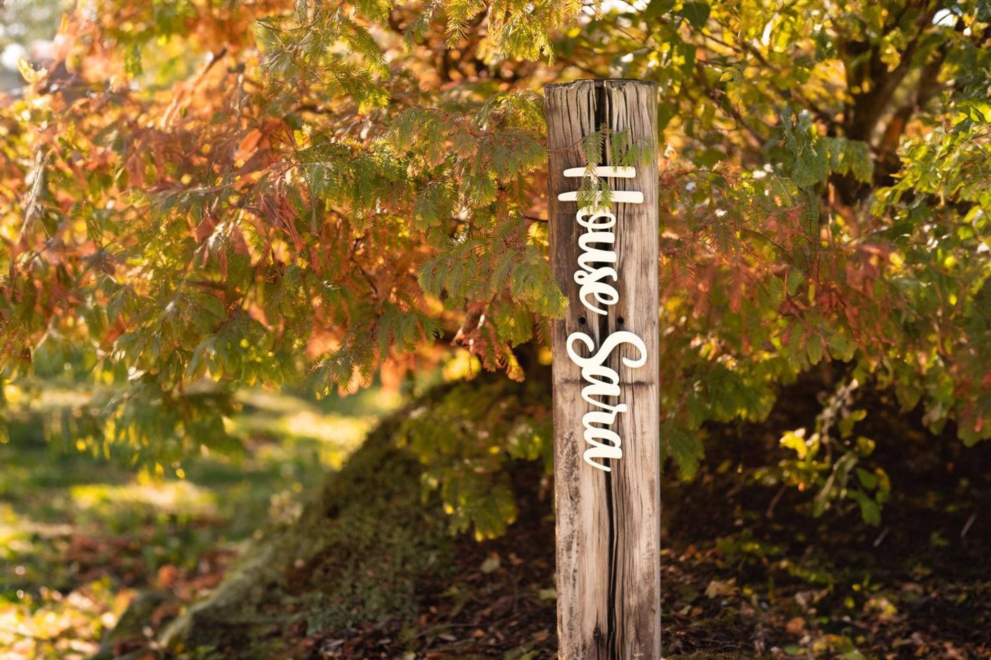 Sauerland-Tinyworld - Ihr Tiny Ferienhaus Im Sauerland Am Diemelsee ภายนอก รูปภาพ