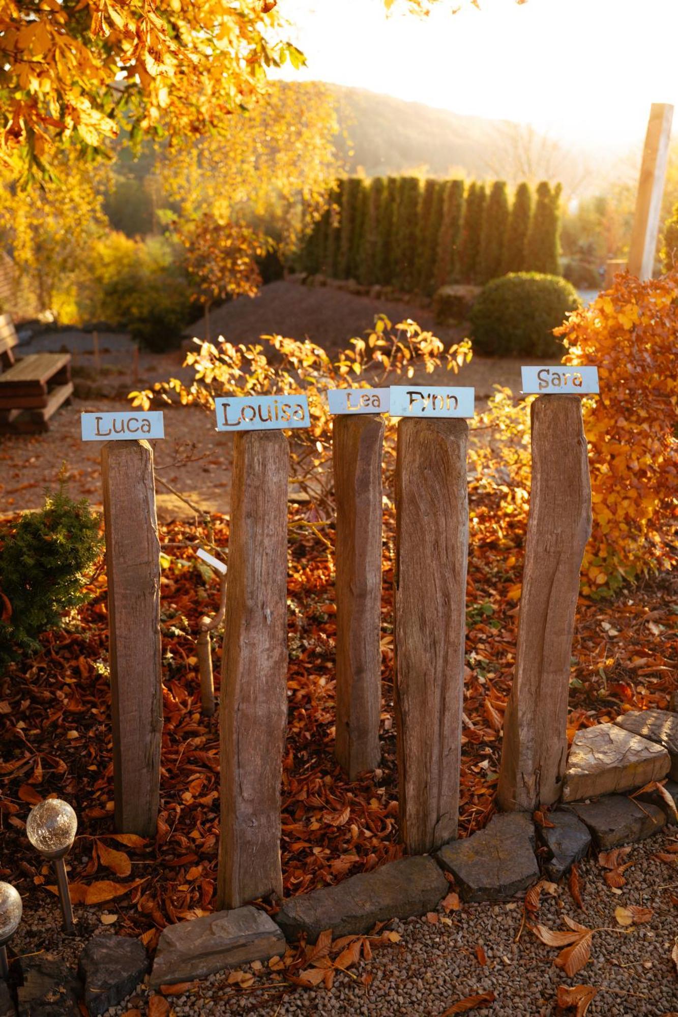 Sauerland-Tinyworld - Ihr Tiny Ferienhaus Im Sauerland Am Diemelsee ภายนอก รูปภาพ