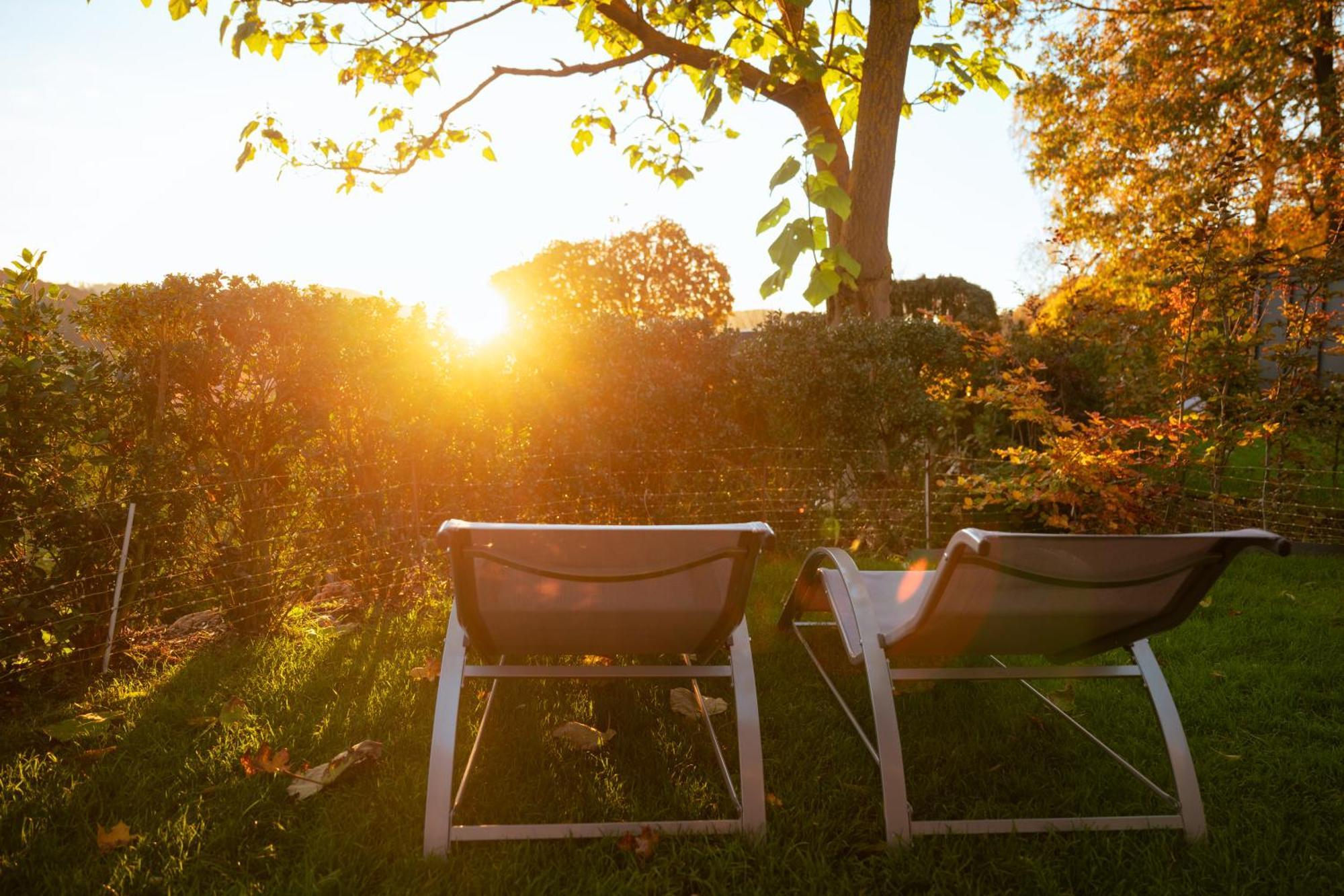 Sauerland-Tinyworld - Ihr Tiny Ferienhaus Im Sauerland Am Diemelsee ภายนอก รูปภาพ