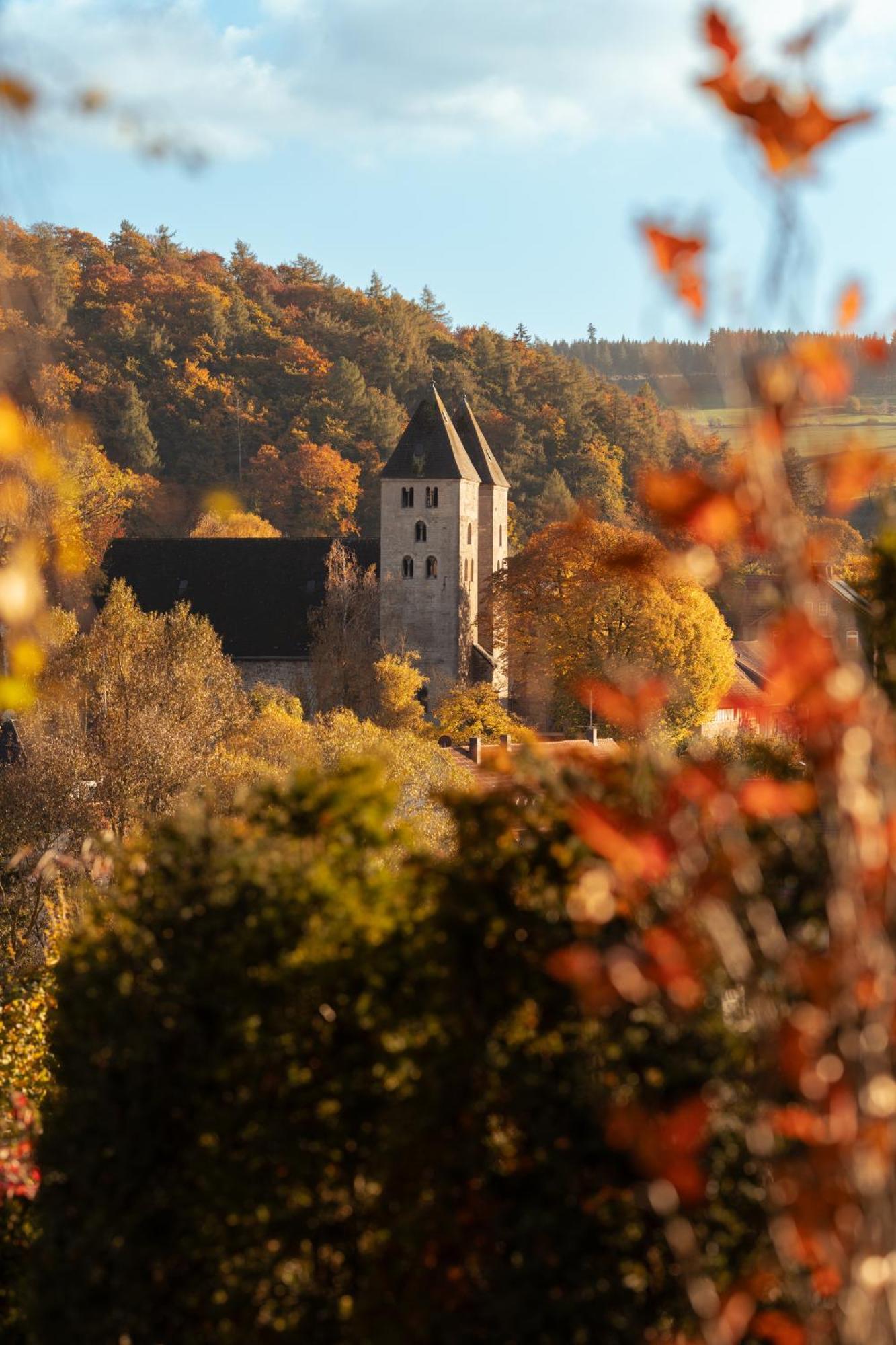 Sauerland-Tinyworld - Ihr Tiny Ferienhaus Im Sauerland Am Diemelsee ภายนอก รูปภาพ