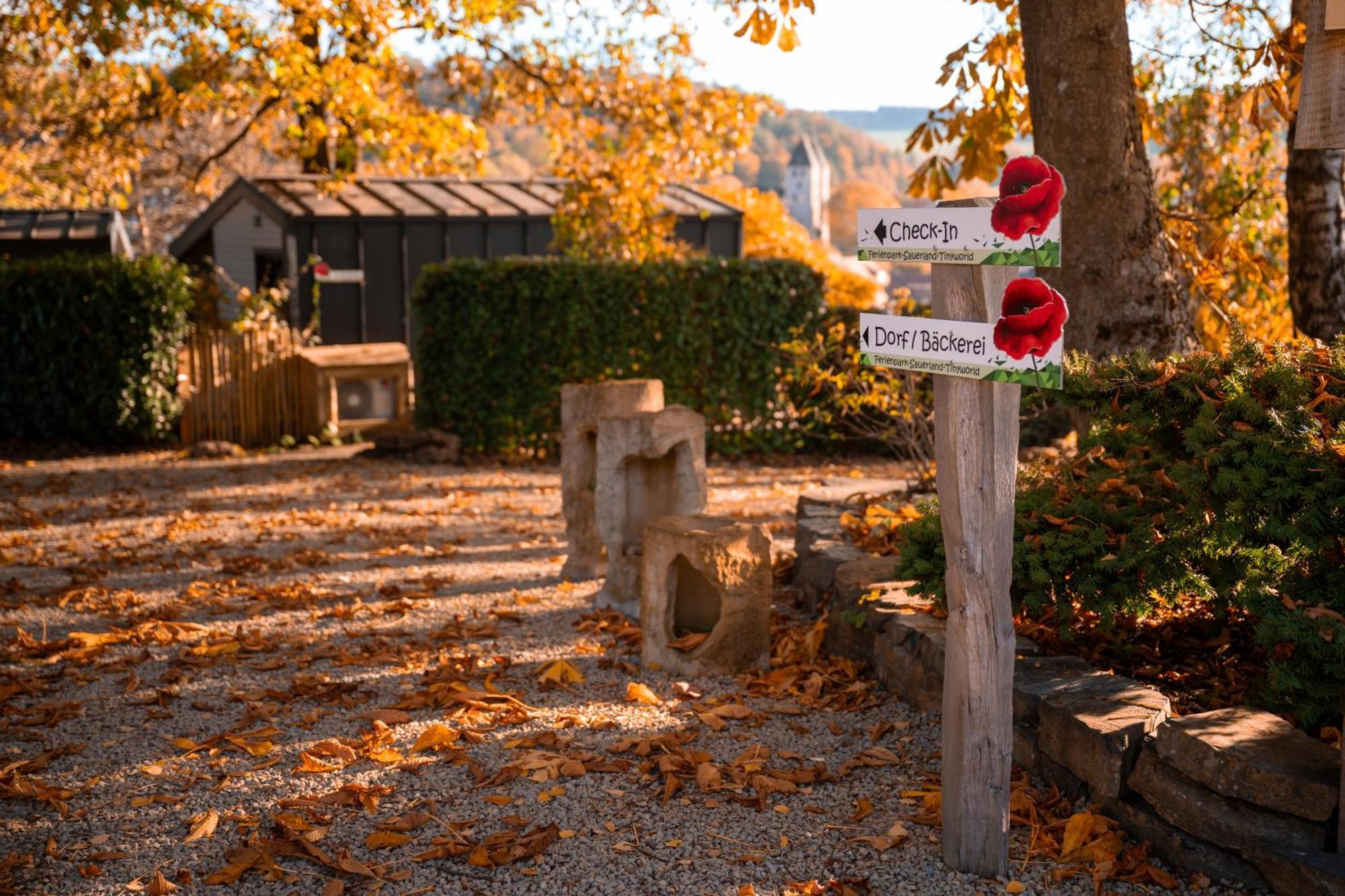 Sauerland-Tinyworld - Ihr Tiny Ferienhaus Im Sauerland Am Diemelsee ภายนอก รูปภาพ