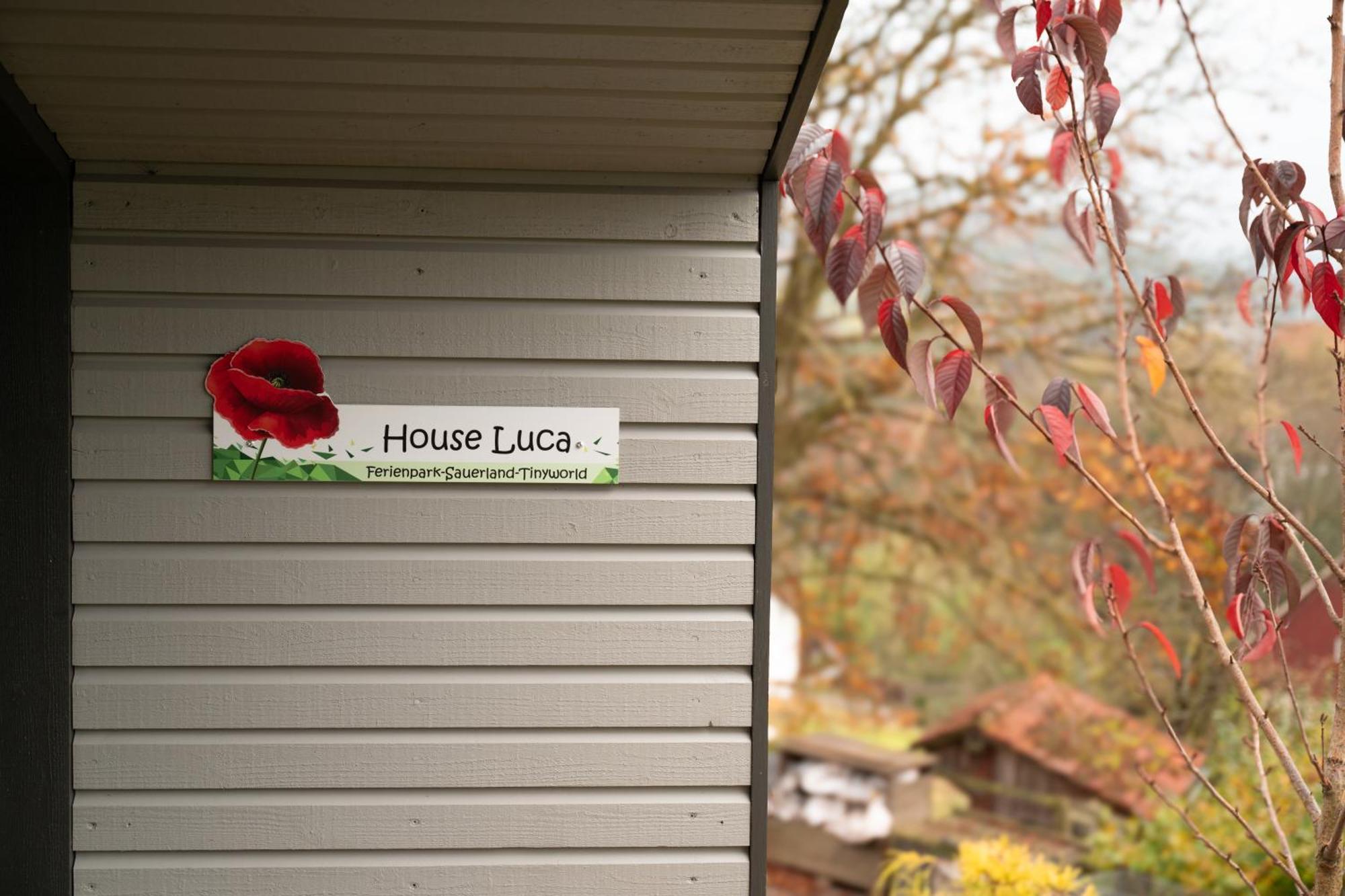 Sauerland-Tinyworld - Ihr Tiny Ferienhaus Im Sauerland Am Diemelsee ภายนอก รูปภาพ